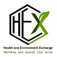 HEX Logo